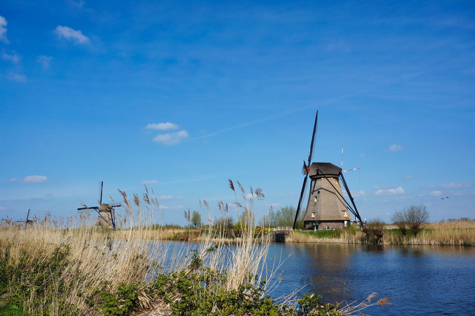 Holland10