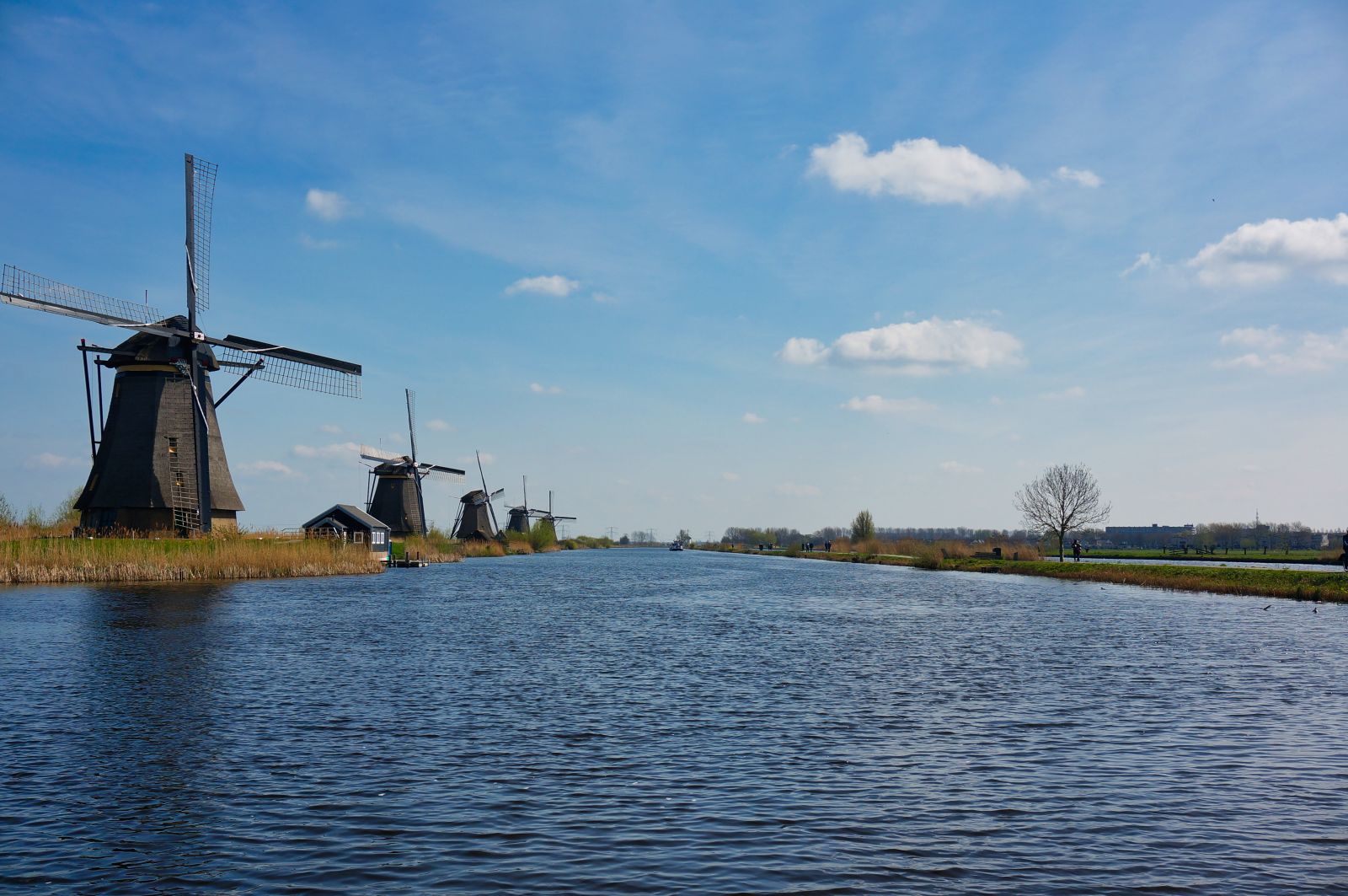Holland11