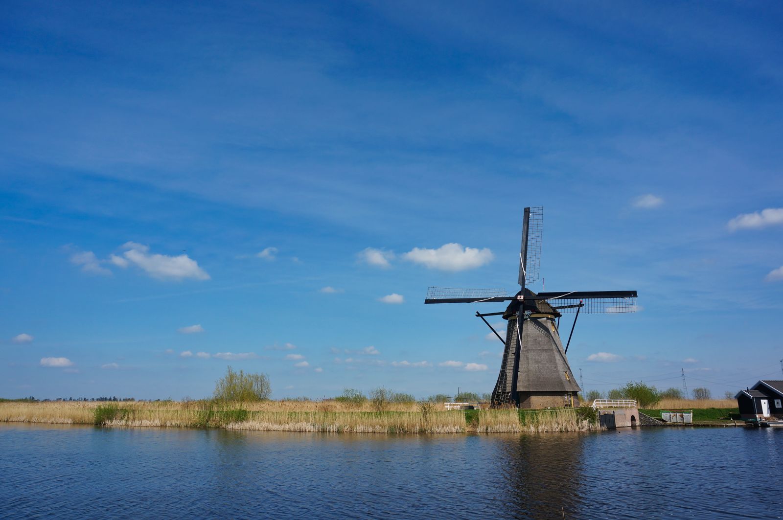 Holland13