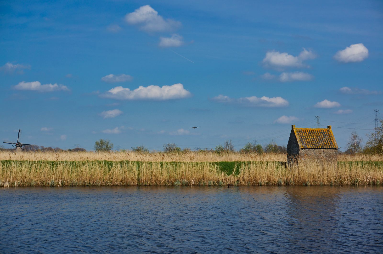 Holland14