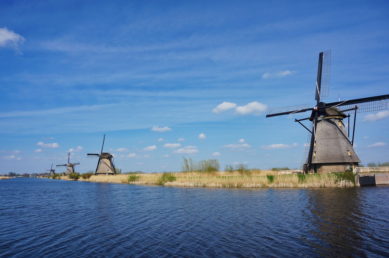 Holland15
