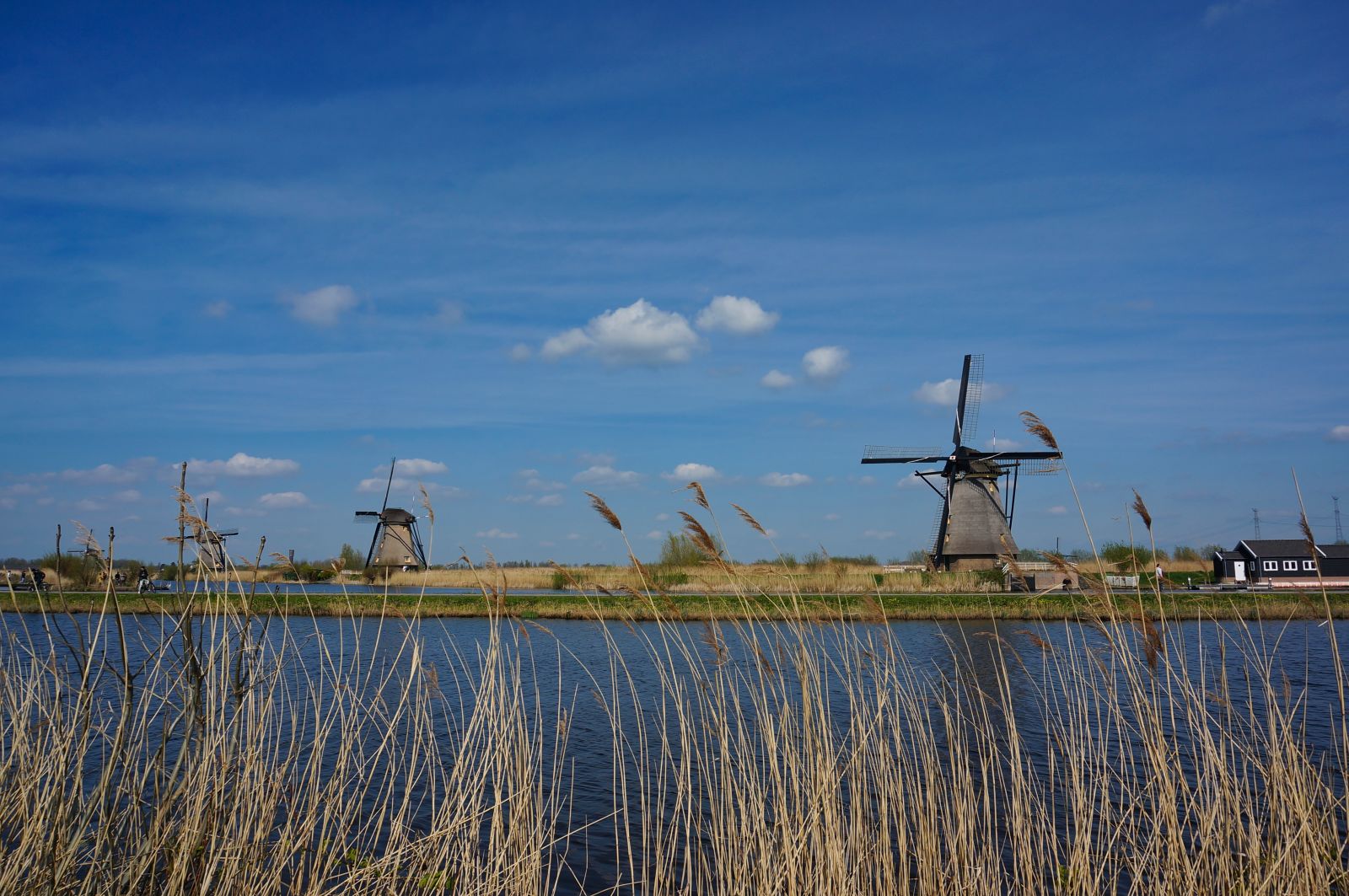 Holland16