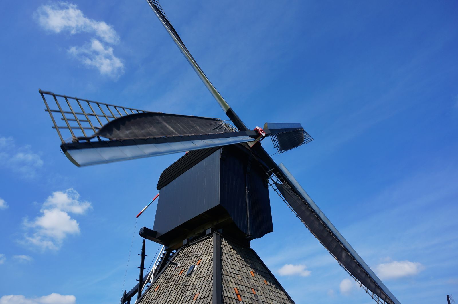 Holland17