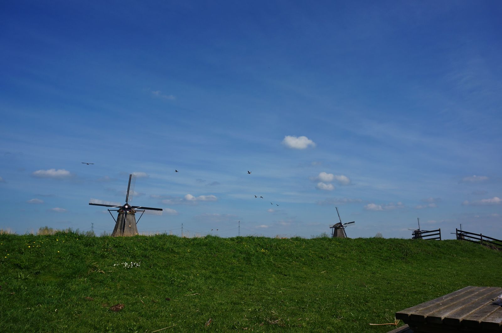 Holland
