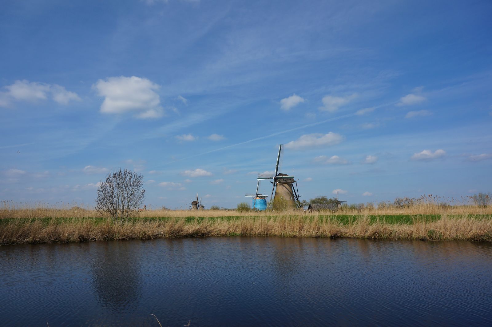 Holland22