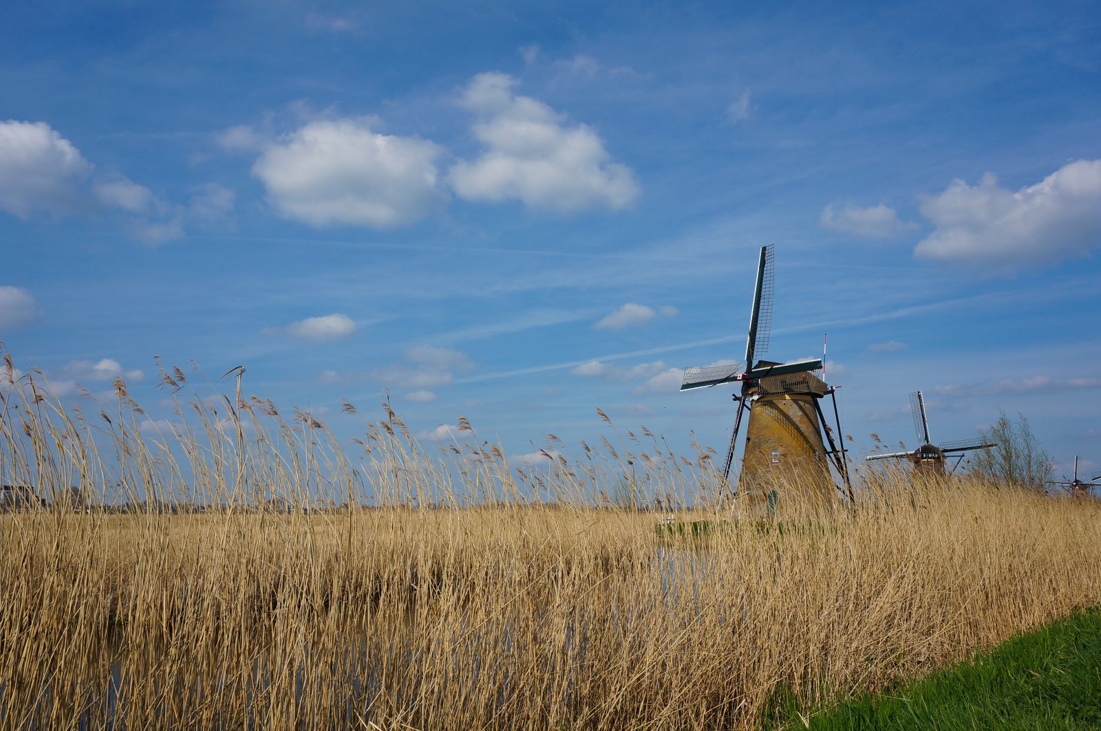 Holland23