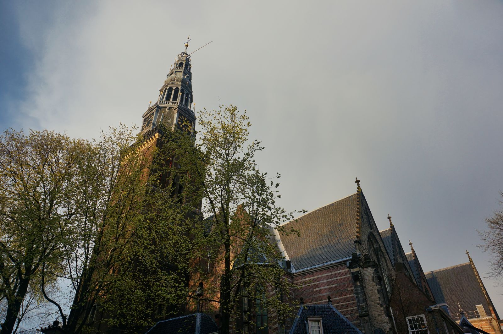 Holland3