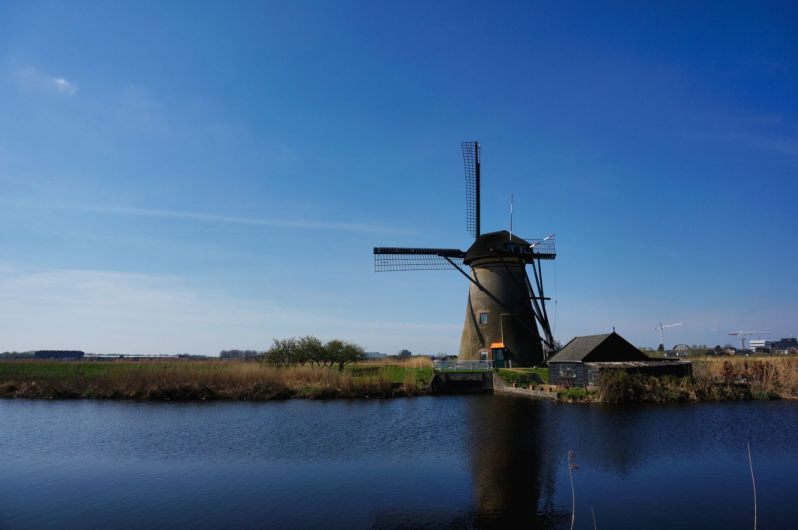 Holland6