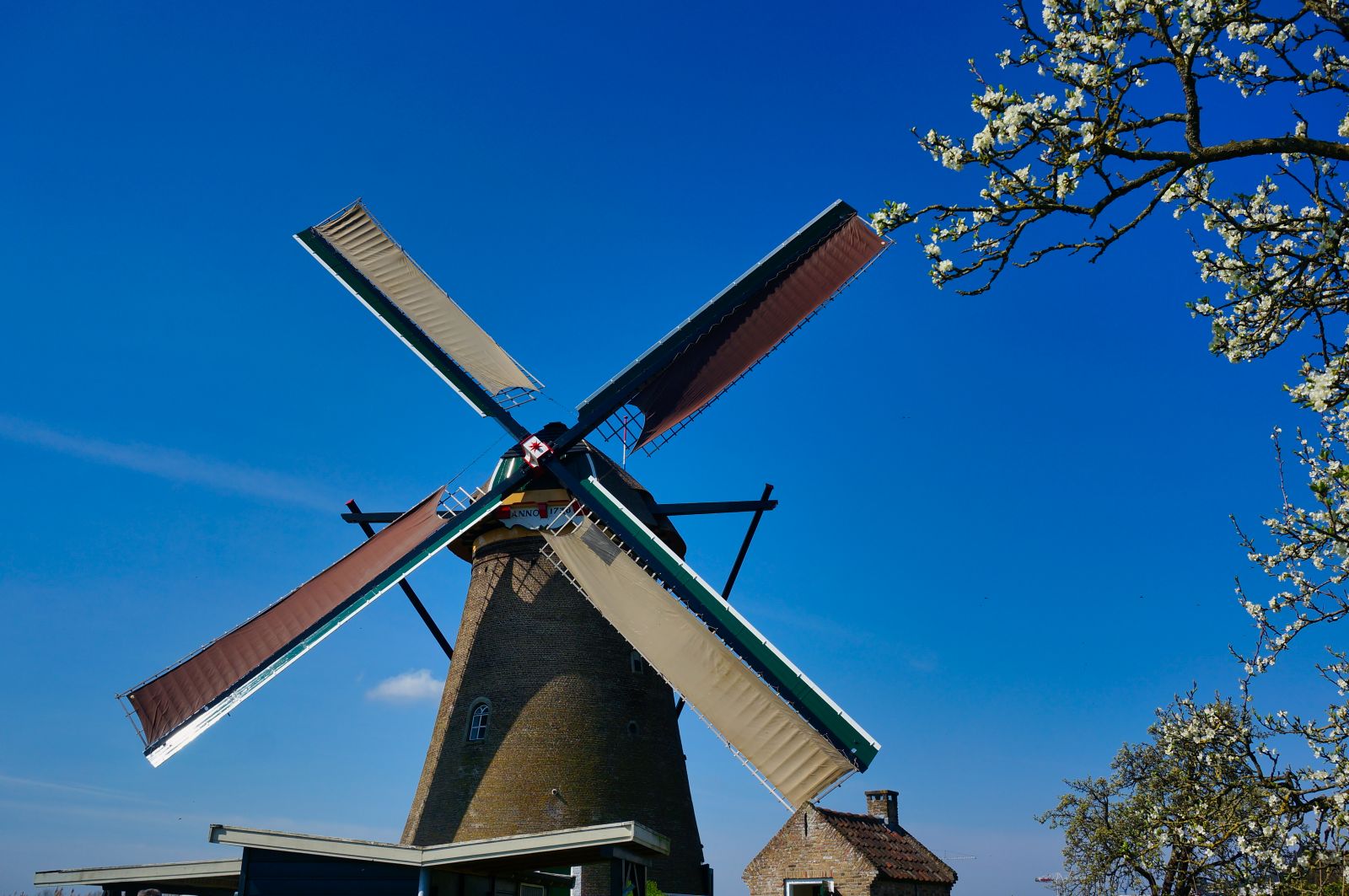 Holland7