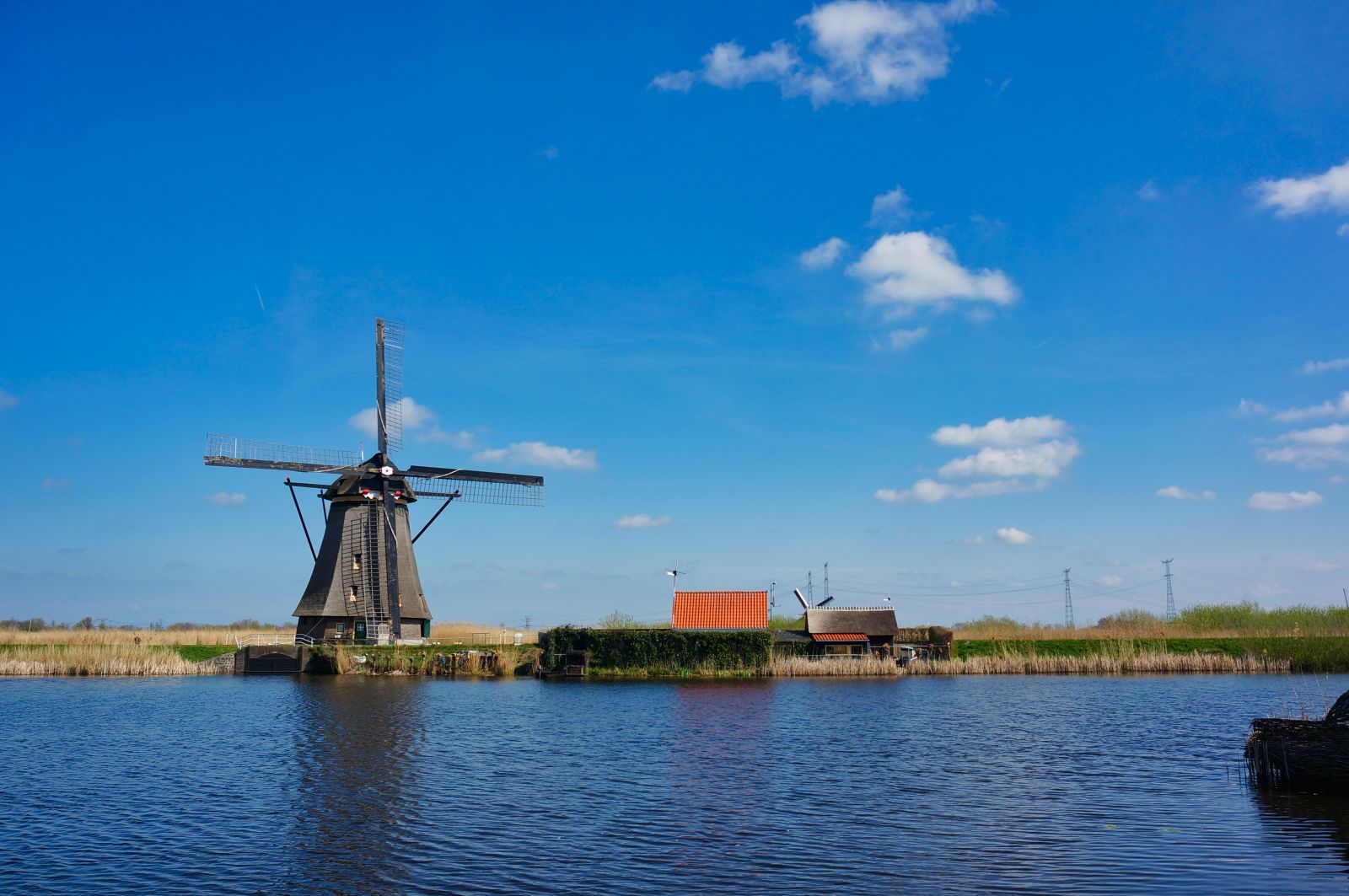 Holland8