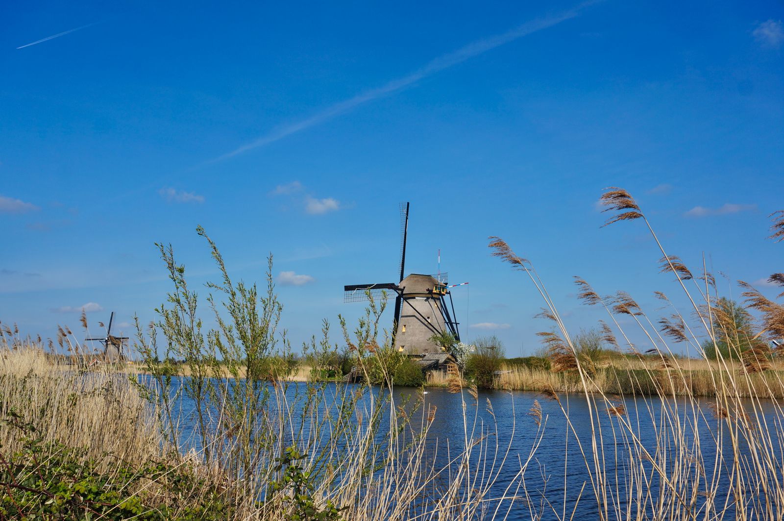 Holland9