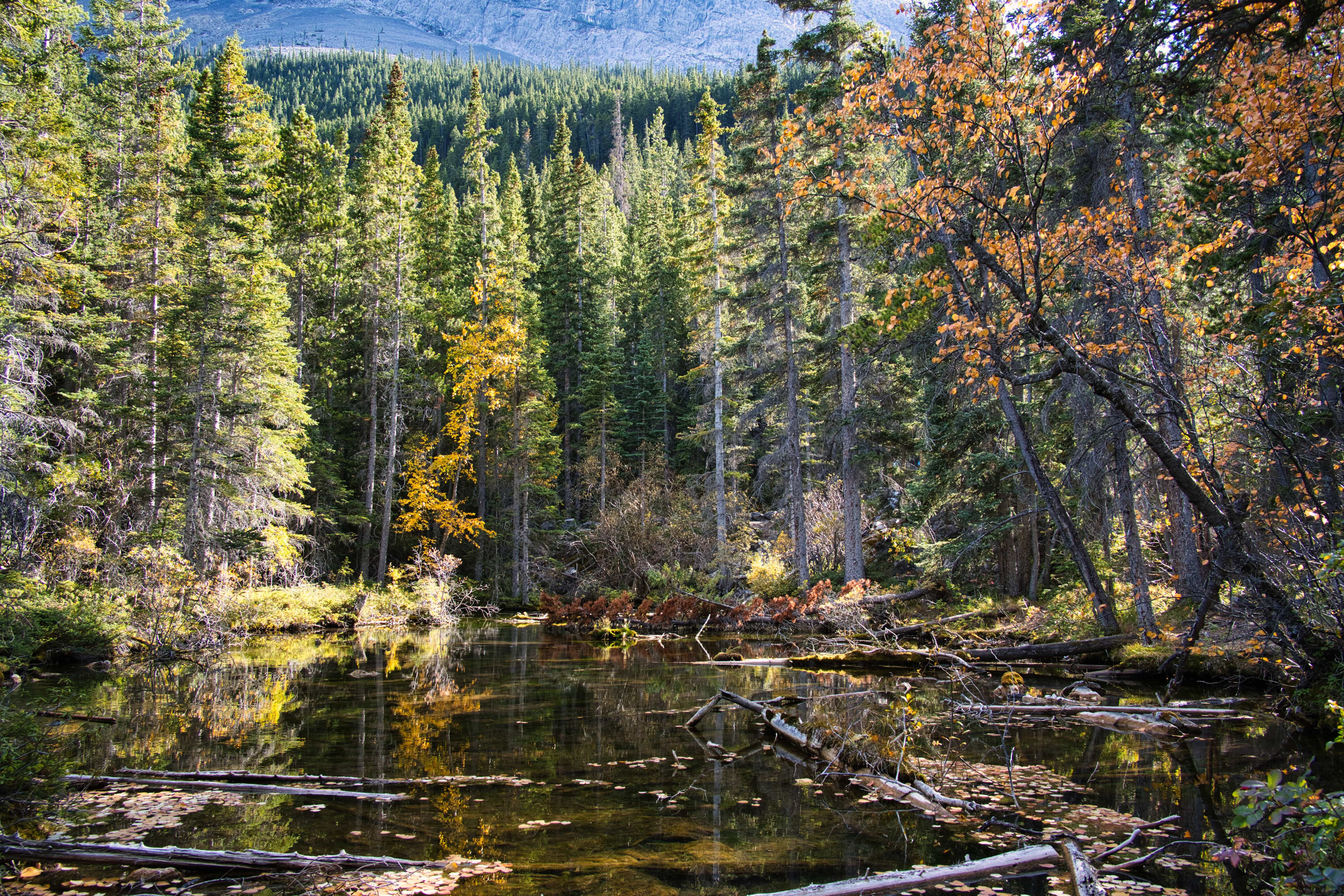 GrassiLake_6
