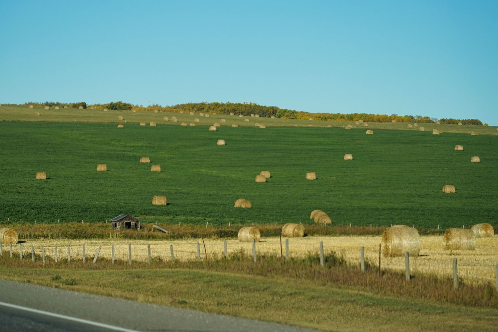 OnTheWay_1