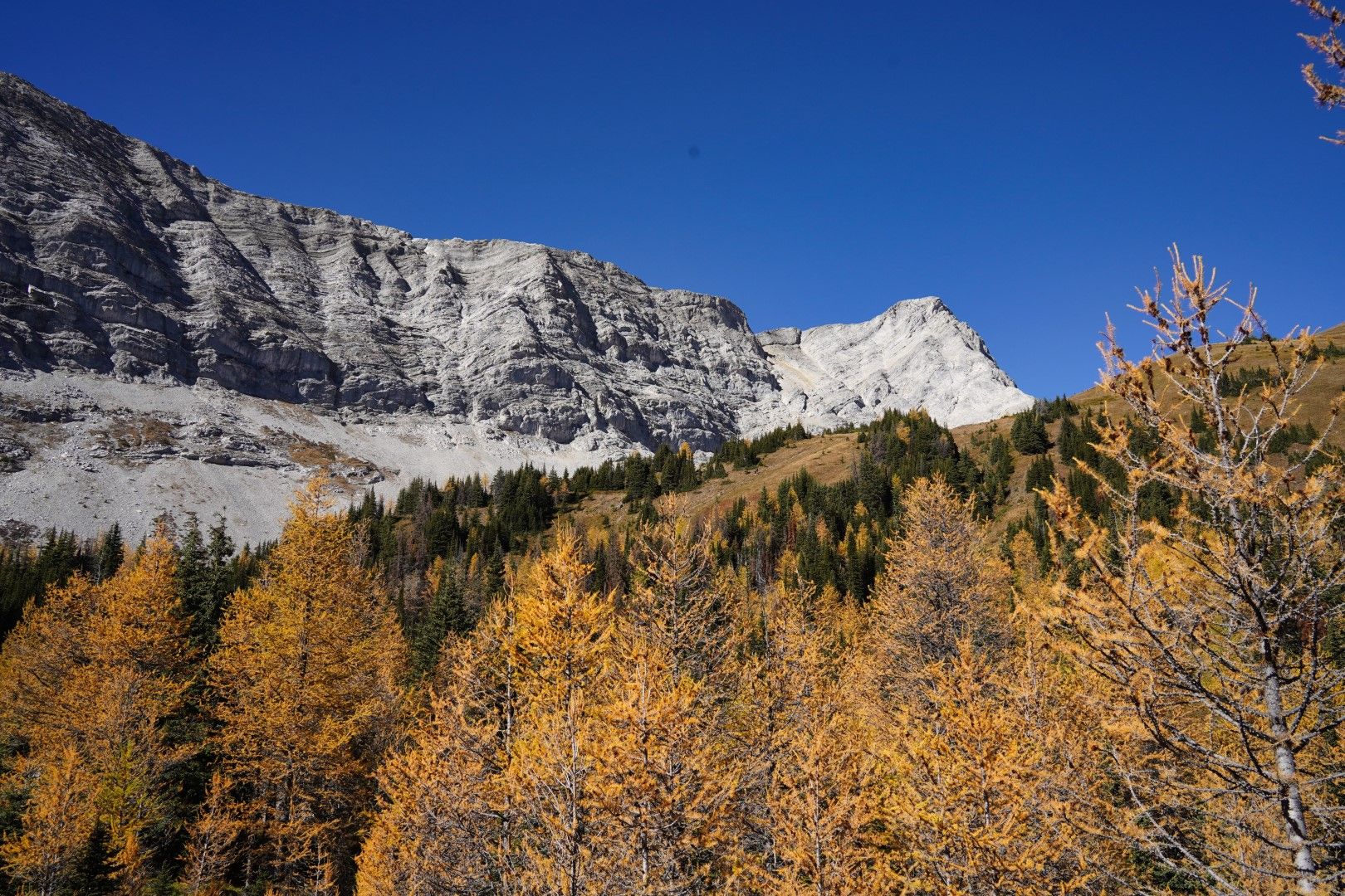 PocaterraRidge_12