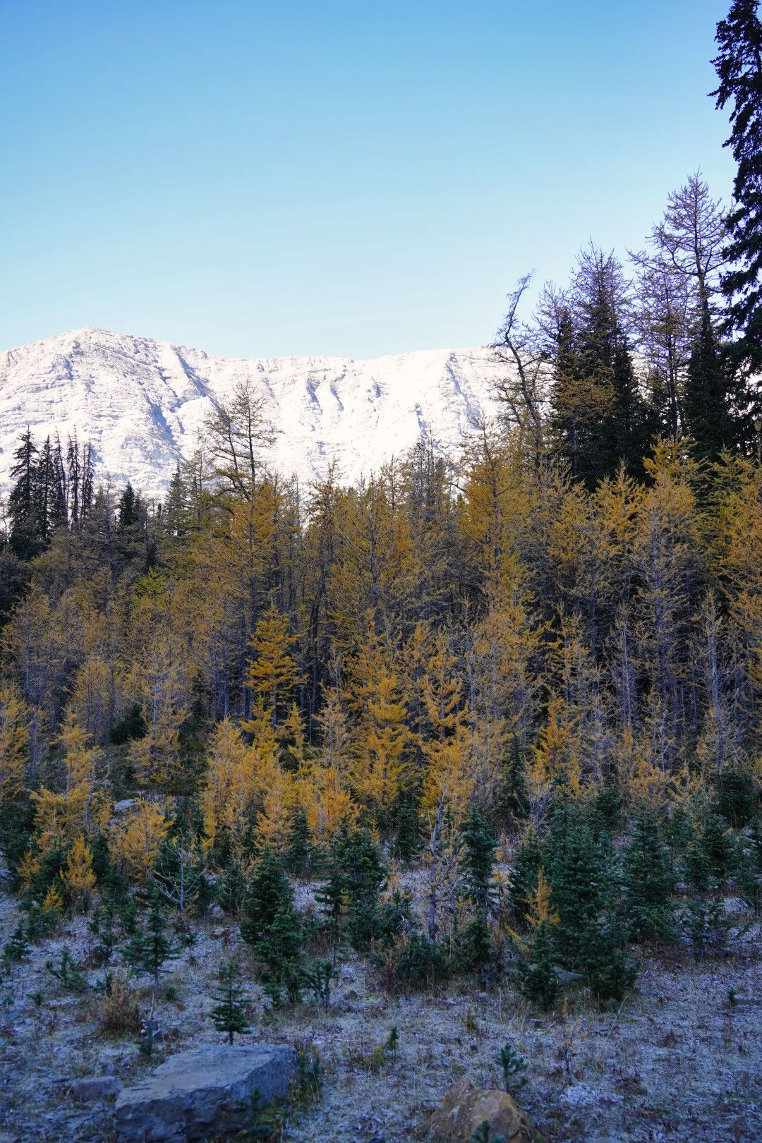 PocaterraRidge_3