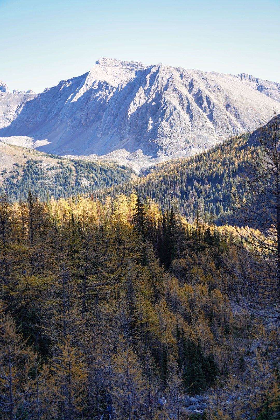 PocaterraRidge_5