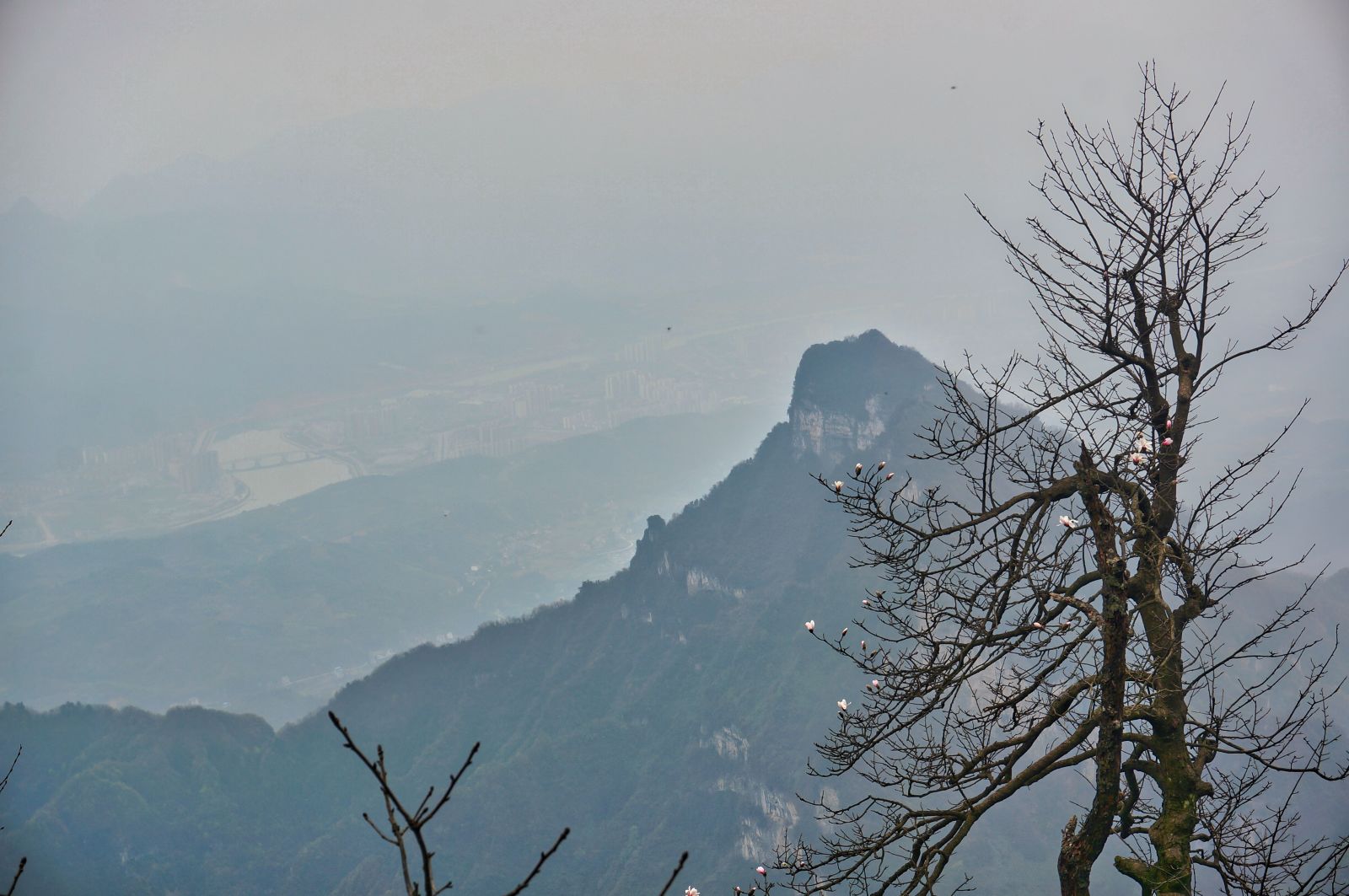 Zhangjiajie1