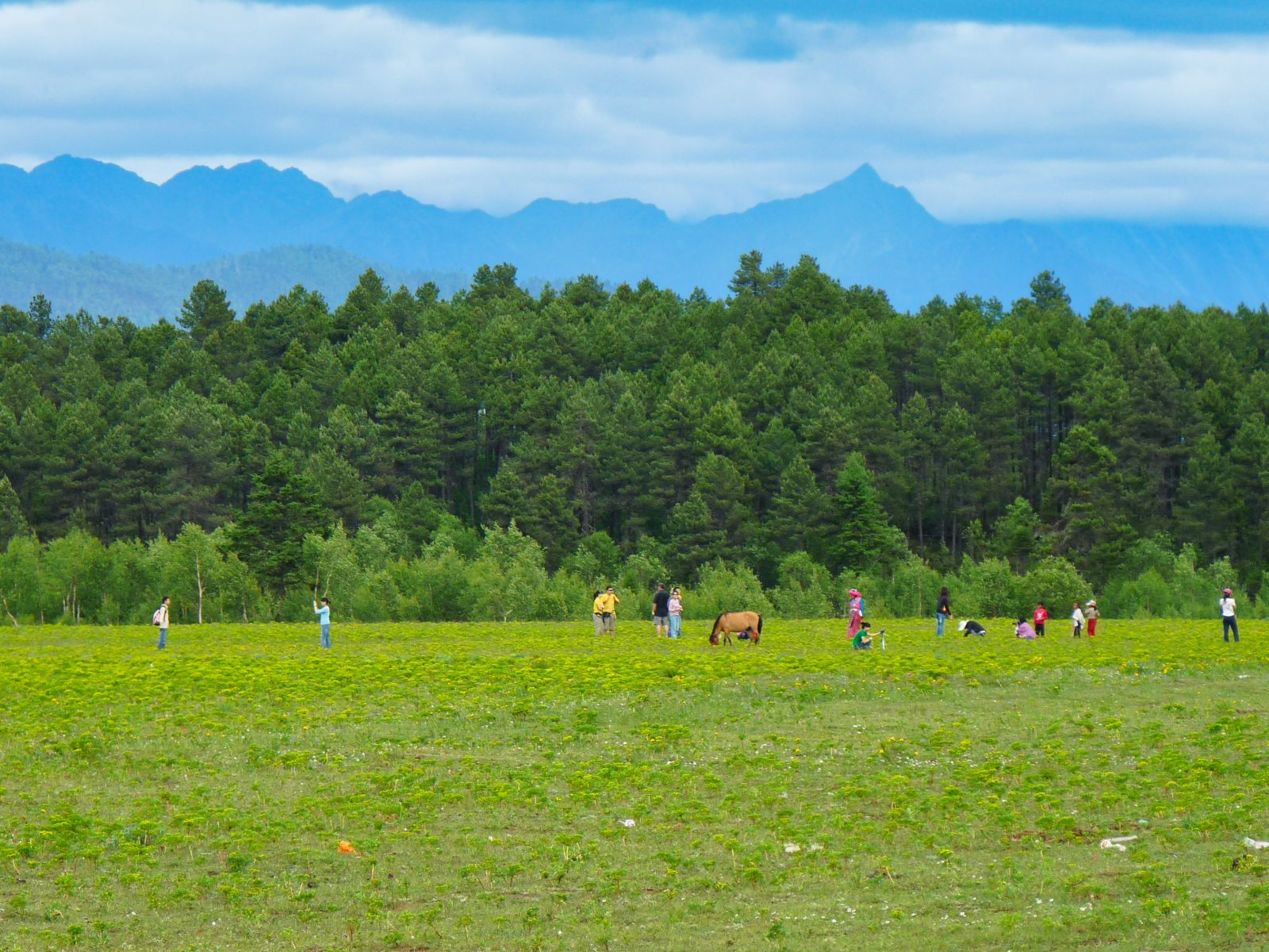 Yunnan