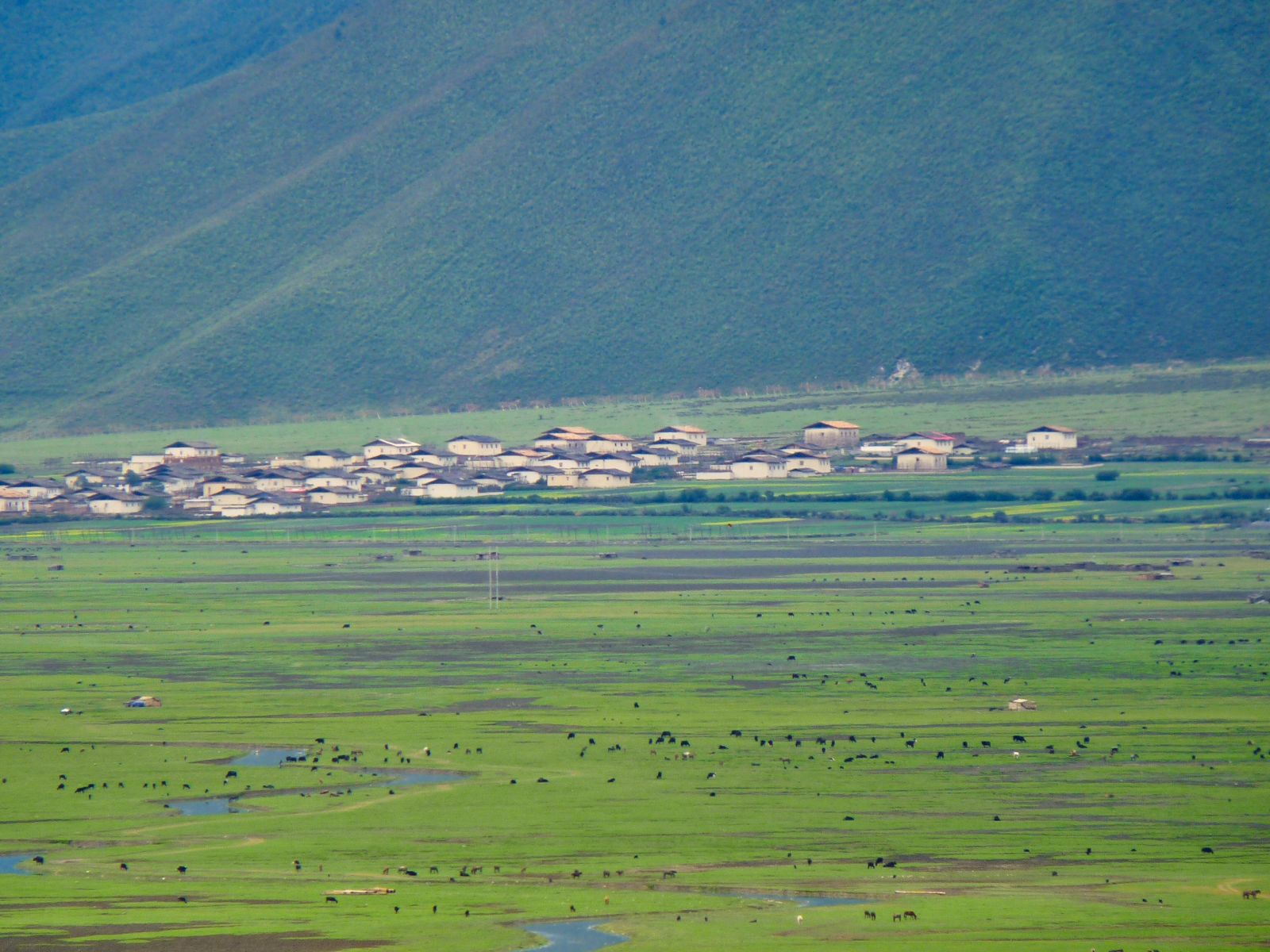 Yunnan6