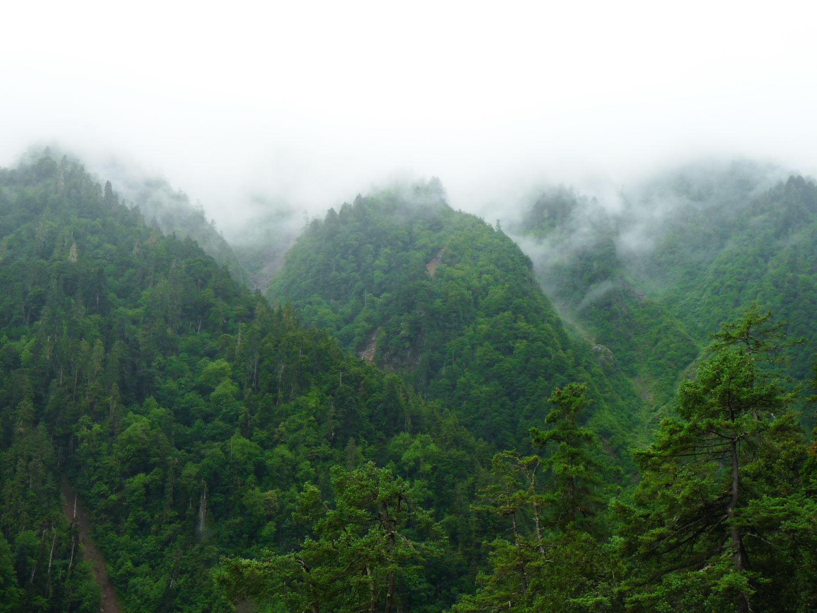 Yunnan9